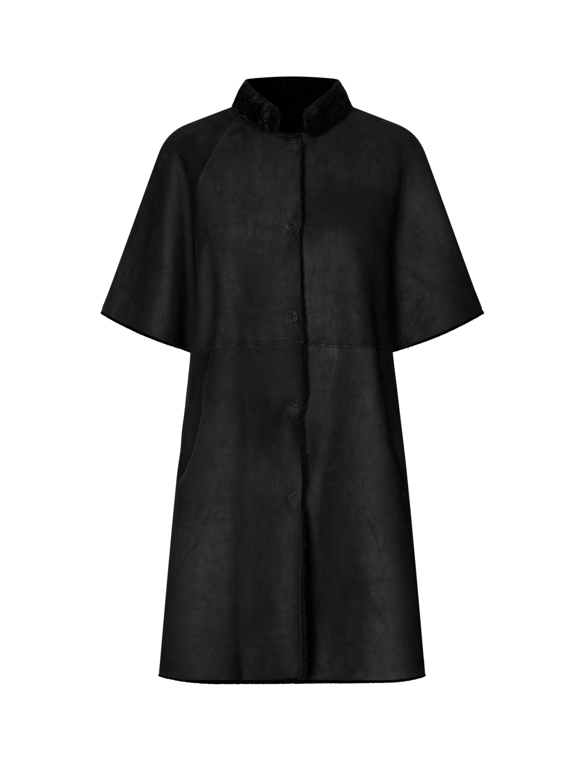 Adelina - Black K-71 Albany Curley